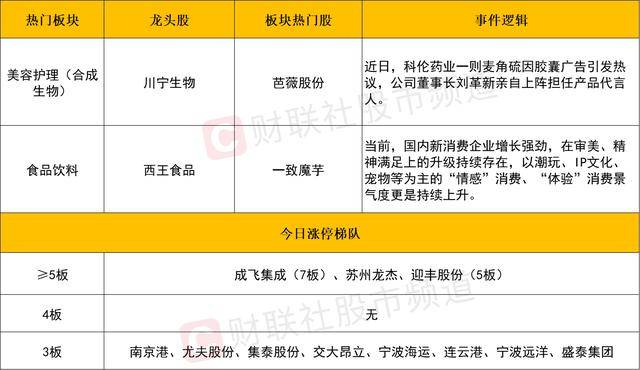 《幻兽帕鲁》PS5版存档丢失 官方回复处理方法